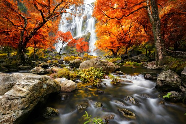 Herbstliche Landschaft mit einem schönen Waldfall