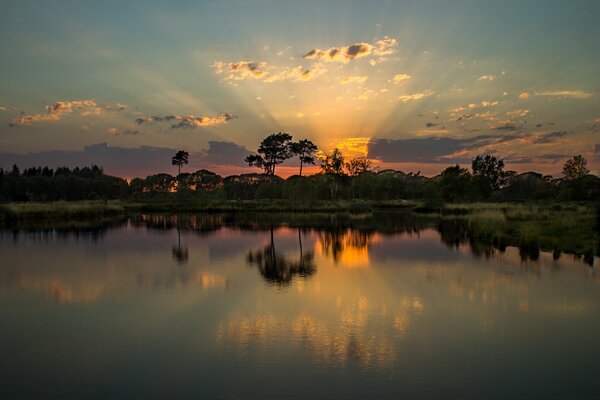 Lago entre los árboles al atardecer en verano