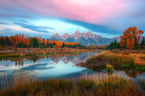 Otoño dorado en las montañas