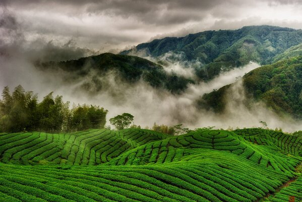 Very beautiful hills, fields, clouds