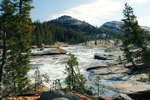 National Park among mountains and forests, stone cliffs