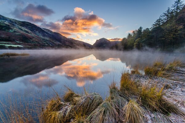 Morning frost on the lake shore