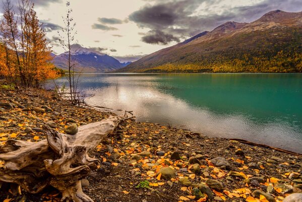 Lago di montagna autunnale in una giornata nuvolosa, girato da un punto basso, con legni in primo piano