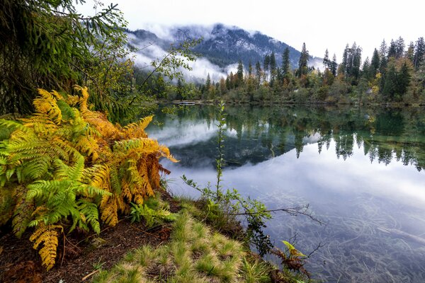 La straordinaria bellezza della natura Svizzera