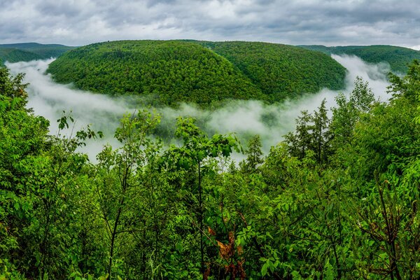 Sommet de la montagne verte à travers les nuages